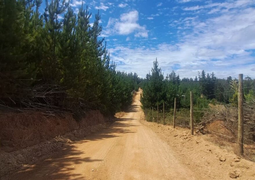 Parcela en sector Puertecillo, Navidad — Navidad